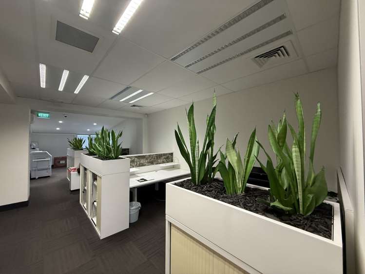 452 Lake Road Takapuna_5