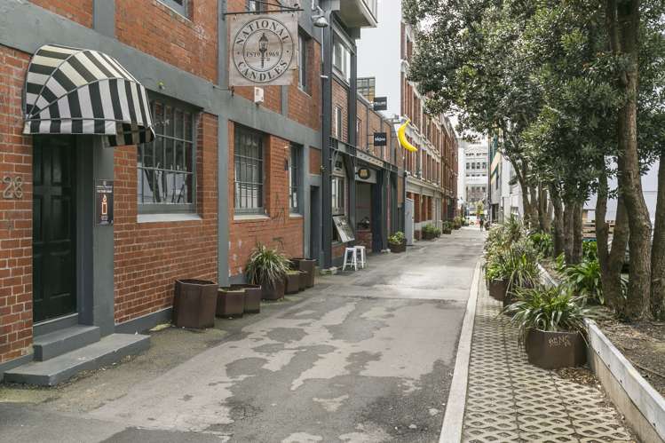 8g Egmont Street Te Aro_9