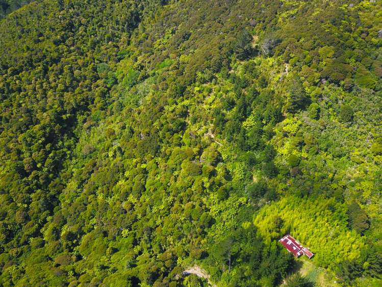 Te Karoa Road Peria_21