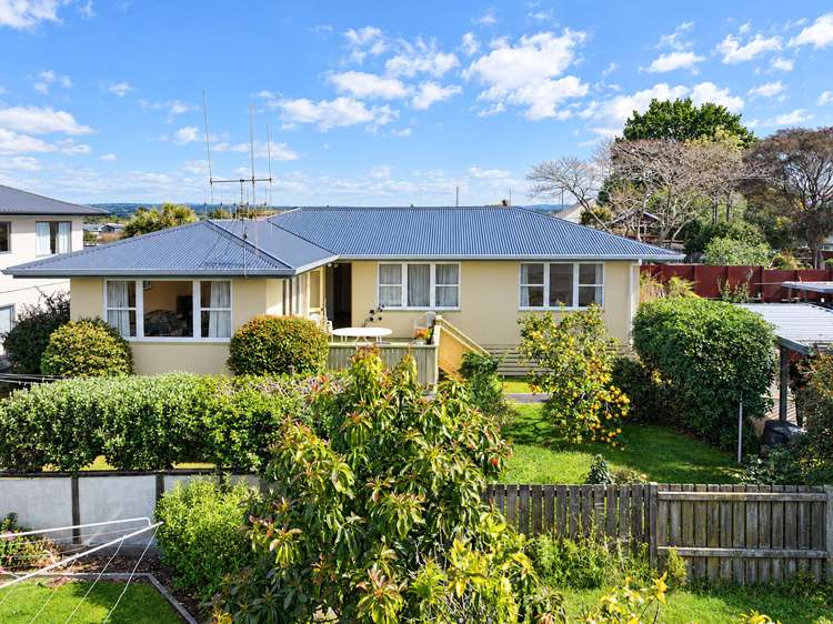 87B Mansels Road Greerton_10