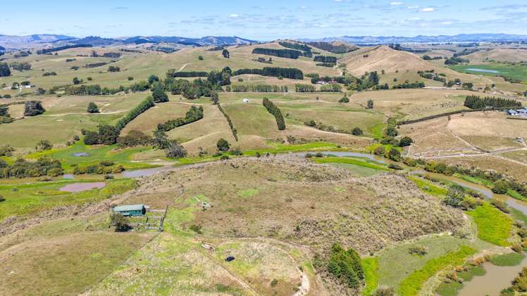 650 Falls Road Maramarua_5