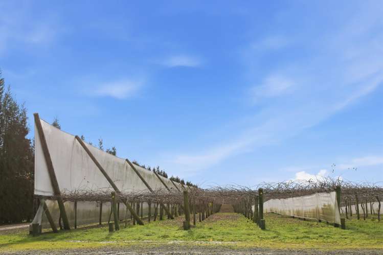 852 Rangiuru Road Rangiuru_24