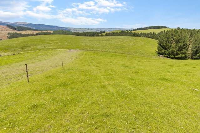 433 Kowhatu Road Waihaorunga_4