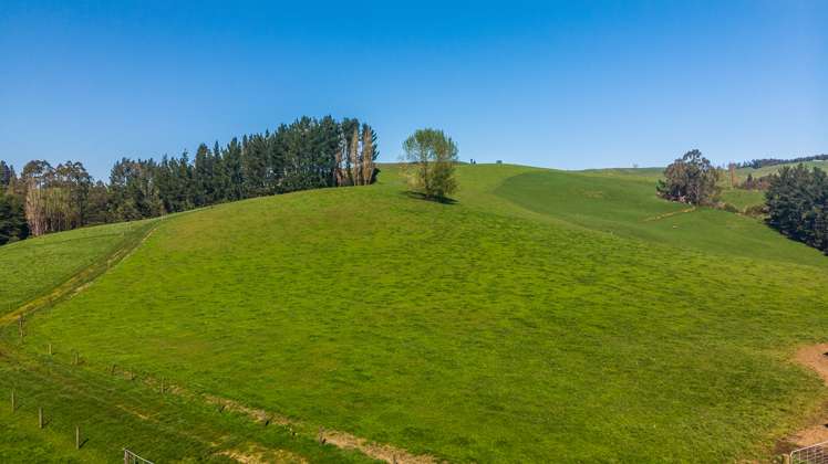 356 Lurman Road Otorohanga_5