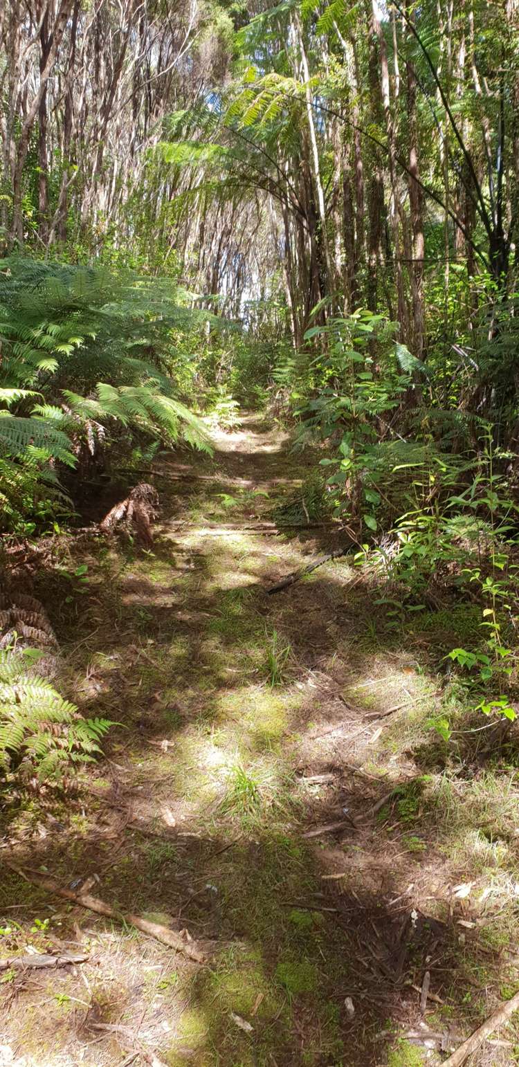 448 Moir Hill Road Warkworth_9