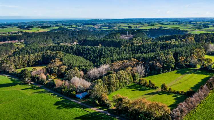 709 Ingahape Road Ohangai_15