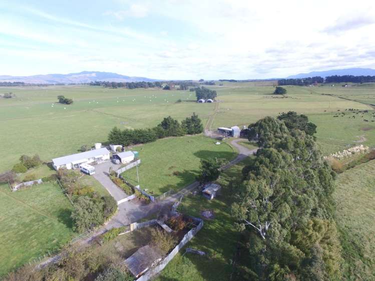 2246 Kahutara Road Kahutara_8