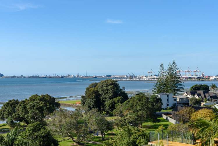 163 Ngatai Road Otumoetai_12