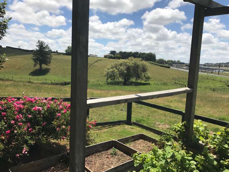 349 Buckland Road Pukekohe_2