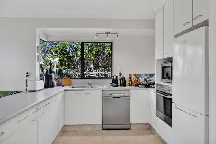 217 Carrington Street Vogeltown_12