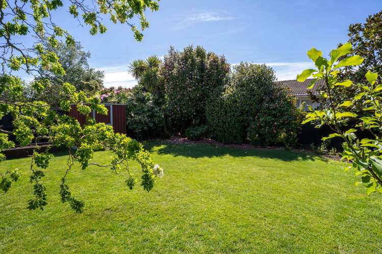 2/174b Grimseys Road Redwood_29