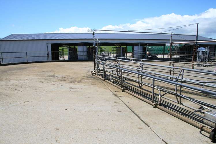 202 Wortley Road Lepperton_5