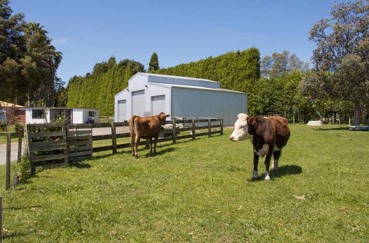 117b Matahui Road Aongatete_13