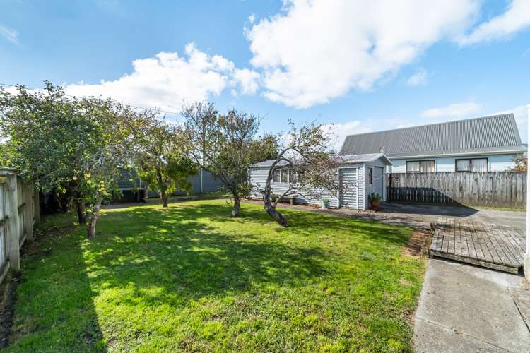 11 North Street Petone_25