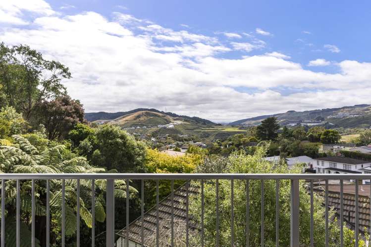 111 Churton Drive Churton Park_14