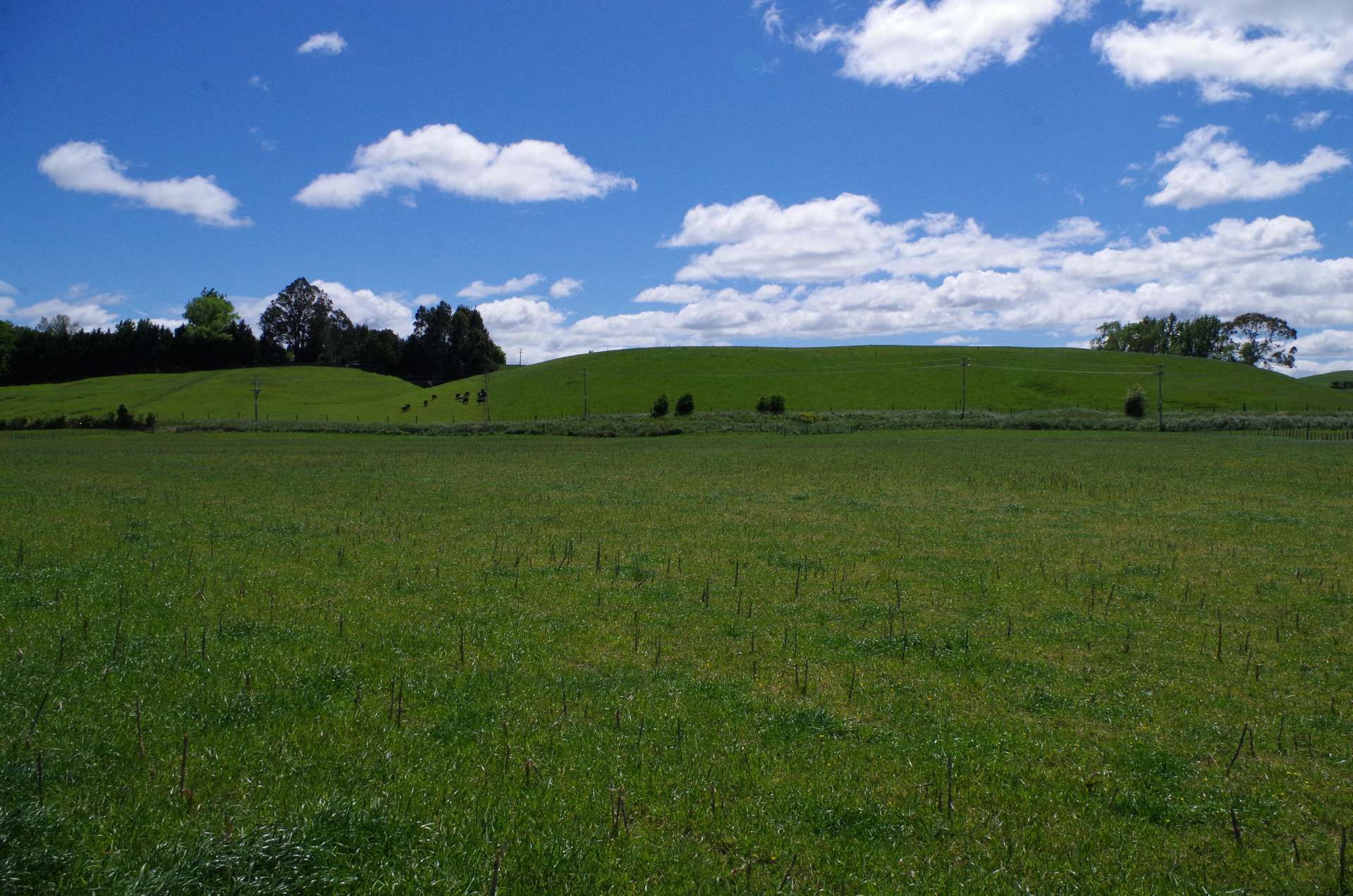 32 Pourerere Road Waipawa_0