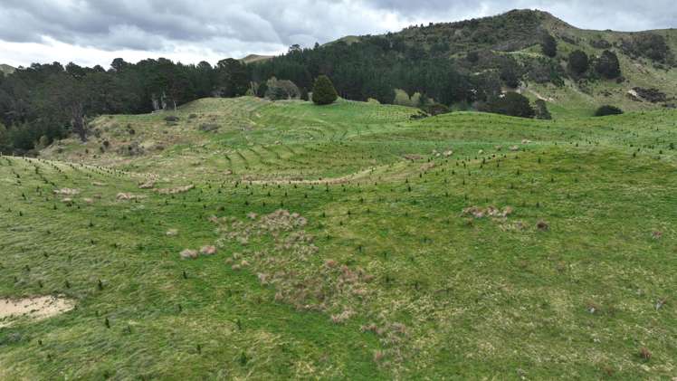 2164 Te Mai Road Tinui Valley_7