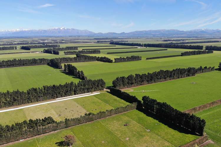 319 Mitchells Road Bankside_6