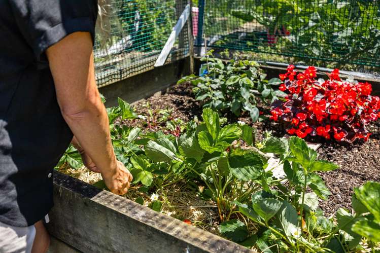 20 Kensington Drive Orewa_31