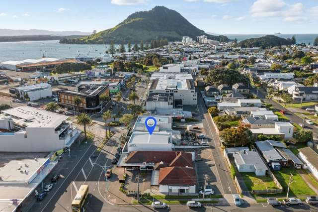 321 Maunganui Road Mount Maunganui_4