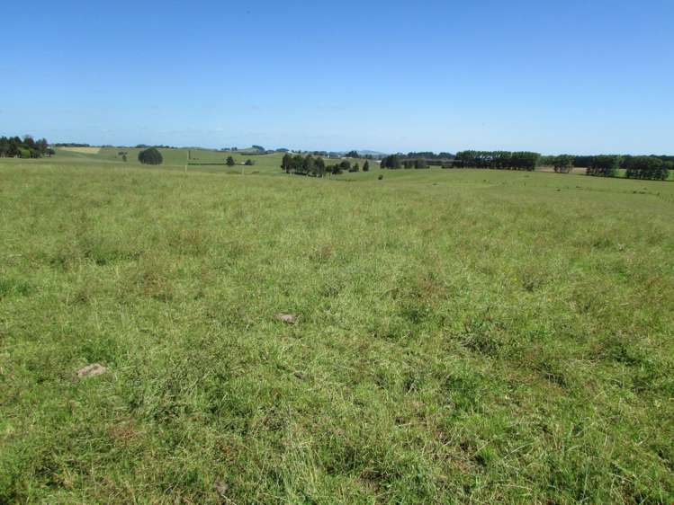 311 Hunt Road Pukekawa_22