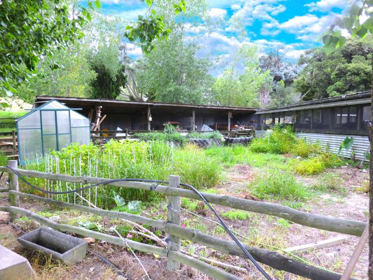 2218 Tangowahine Valley Road Dargaville Surrounds_25