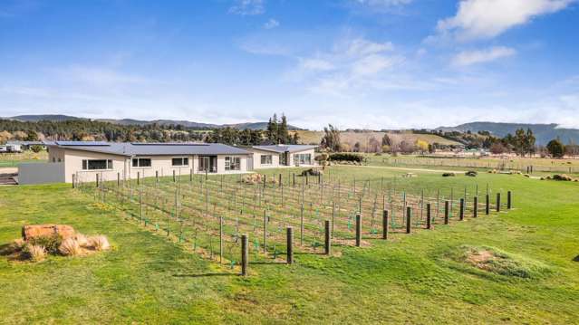 46 Paterson Drive Hawea Flat_3