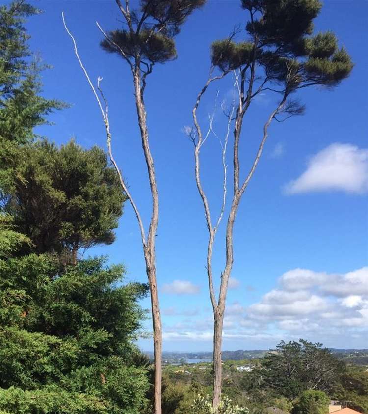 102 Shelter Drive Greenhithe_4