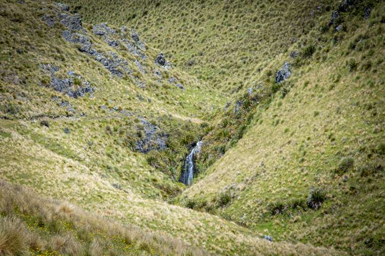 330 Wilfred Road Albury_9