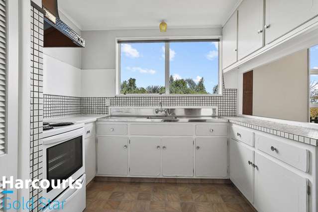 104 Marie Place Thames_2