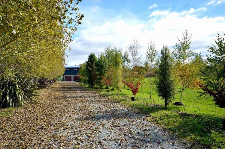 23 Grant Street Temuka_10