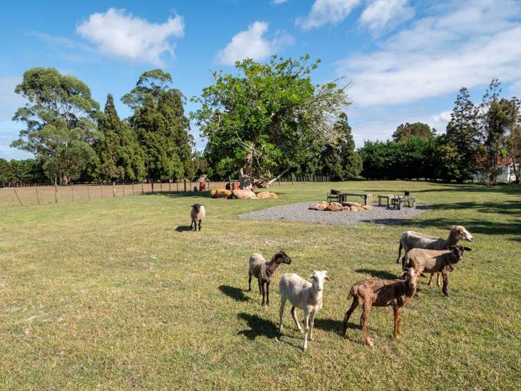 91 Keri Downs Road Kerikeri_5