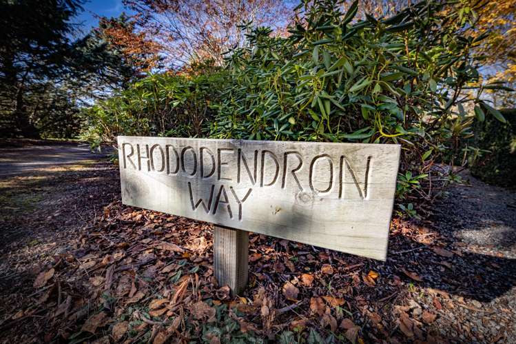 296 O'Roarkes Road Fernside_41