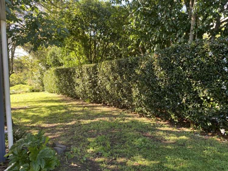 51 Hollister Lane Ohauiti_32