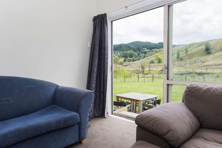 232 Darwin Road Outer Kaiti_17