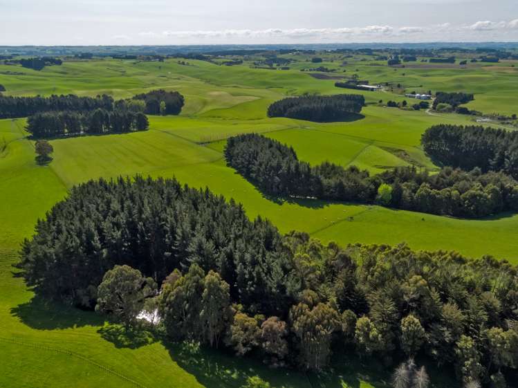 154 Te Rakehou Road Feilding_11