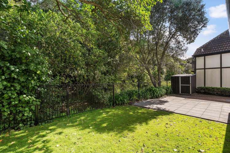 7D Atkin Avenue Mission Bay_17