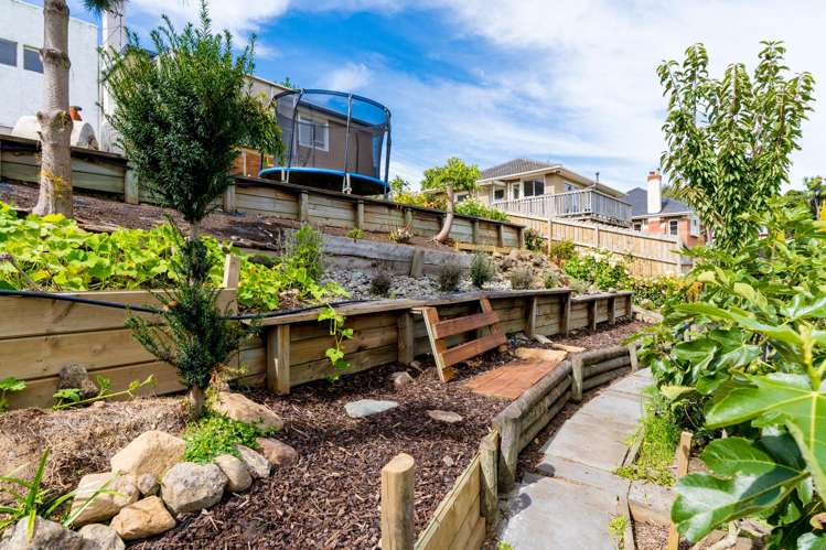 108 Mornington Road Kenmure_15