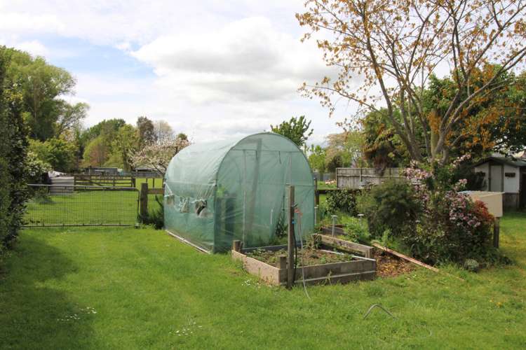 5 Dawson Street Matamata_22