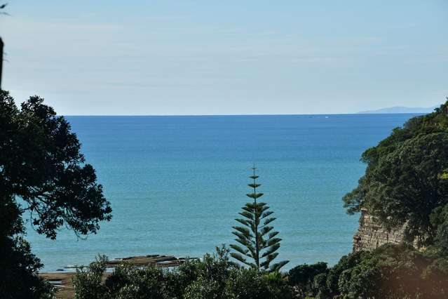 5 Whale Cove Stanmore Bay_1