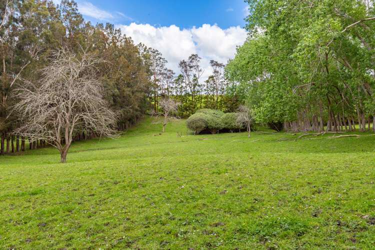 48 Marsh Road Wharehine_11