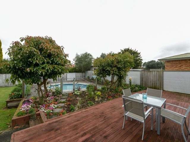 48 Young Street Morrinsville_1