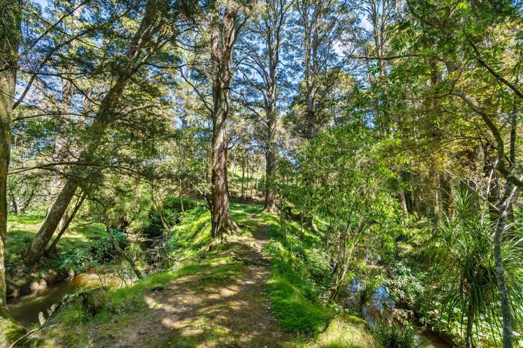83 Waitangi Road Kiripaka_25