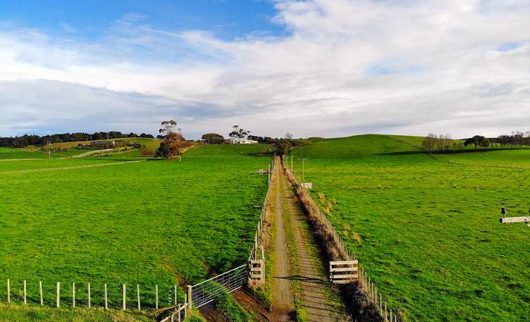 443 Makino Road Feilding_3