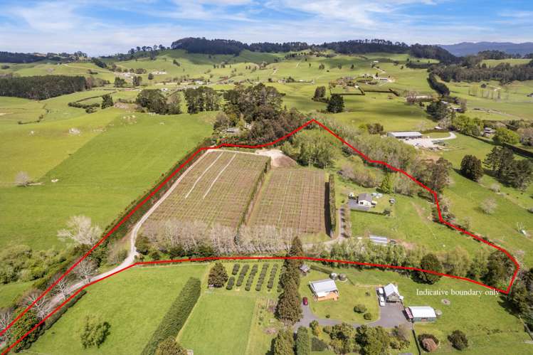 493a Golden Valley Road Waihi_22