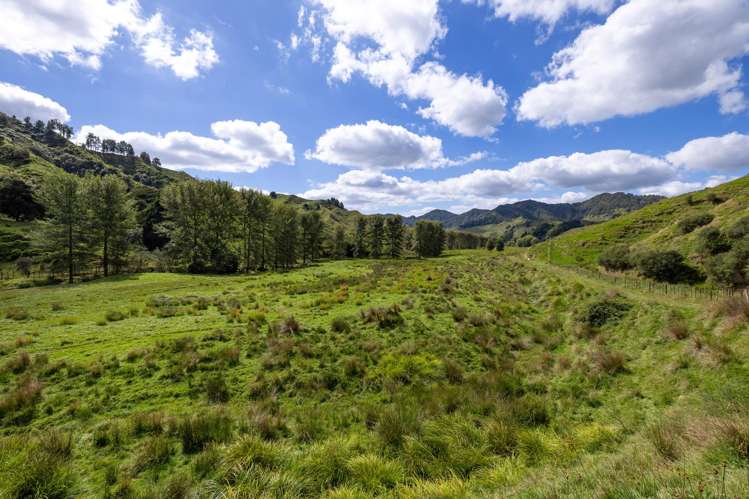 1221 Waitewhena Road Taumarunui_36