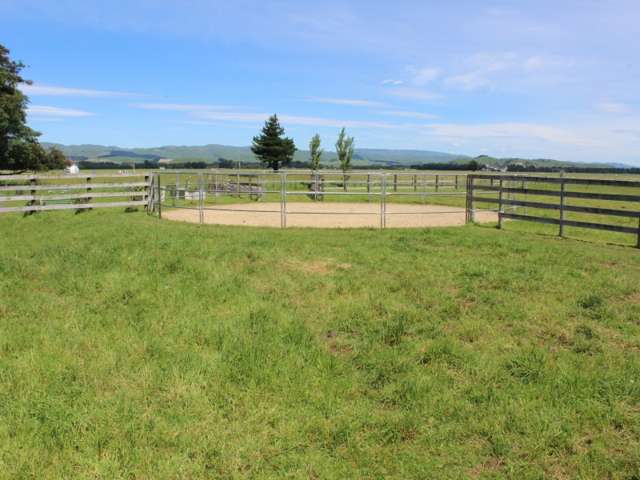 14 Aerodrome Road Dannevirke_4