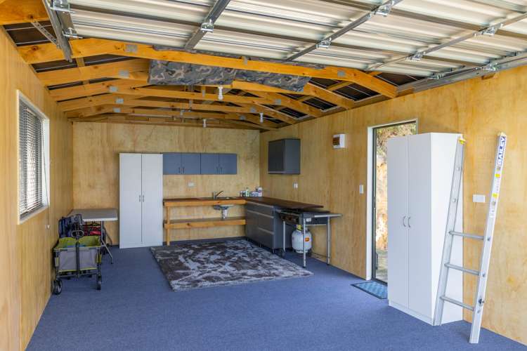 Curious Cove Curious Cove_12