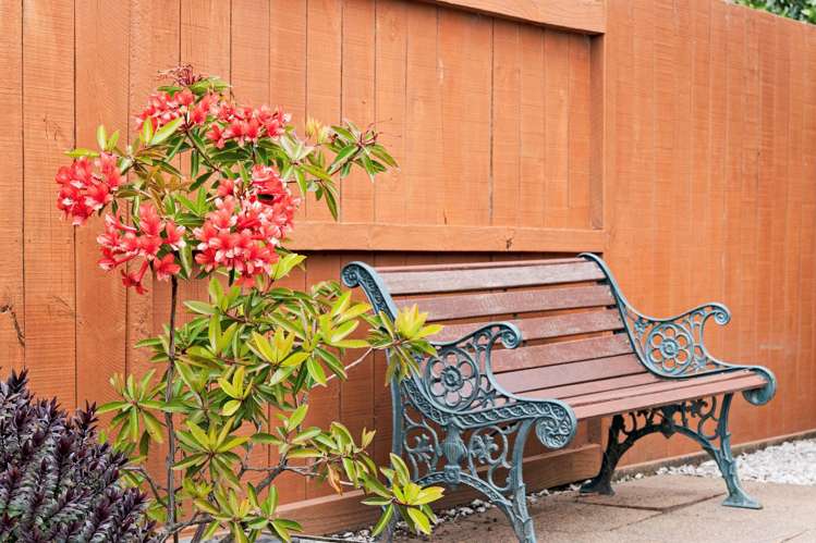 40 Sorrento Key Papamoa_20