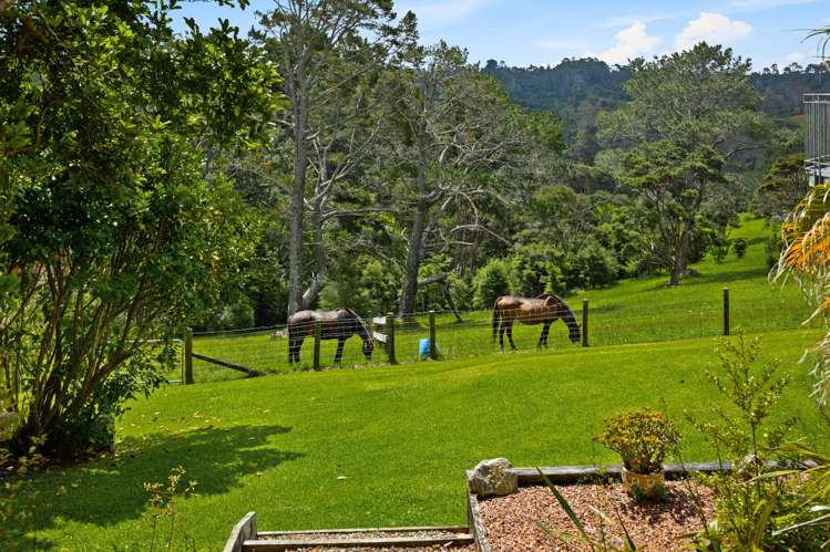 23 Crows Road Swanson_29